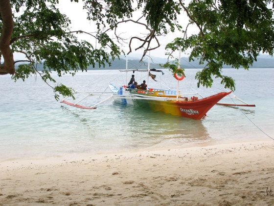 The Ocean Nica boat at Pinagbuyutan Island