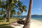 Beach view at Pinagbuyutan Island